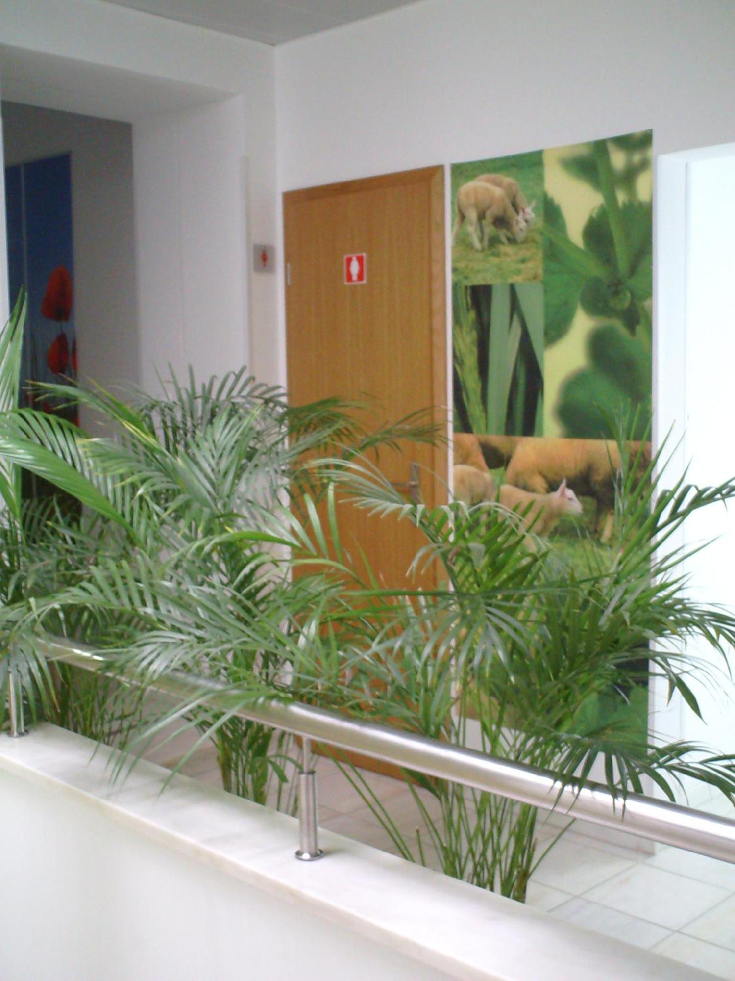 Hotel Serafim Almodôvar Buitenkant foto